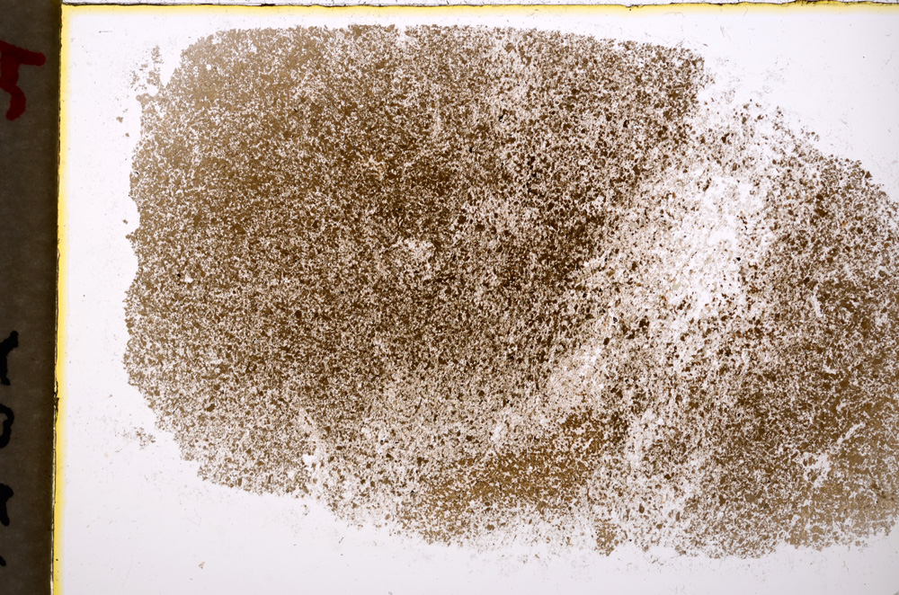 Plane Polarized, E19828