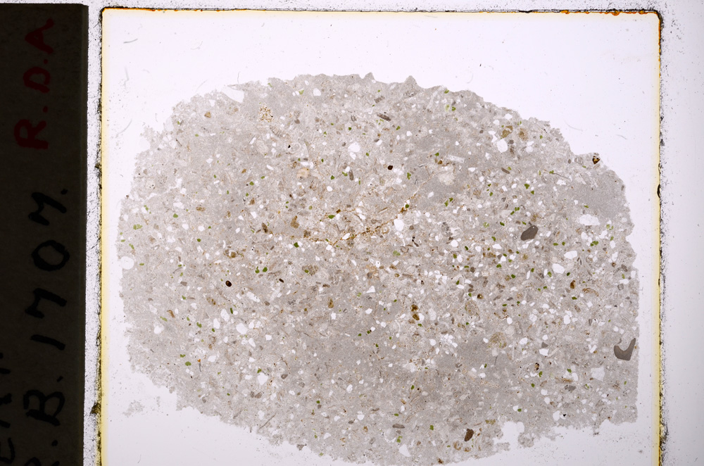 Plane Polarized, E19856