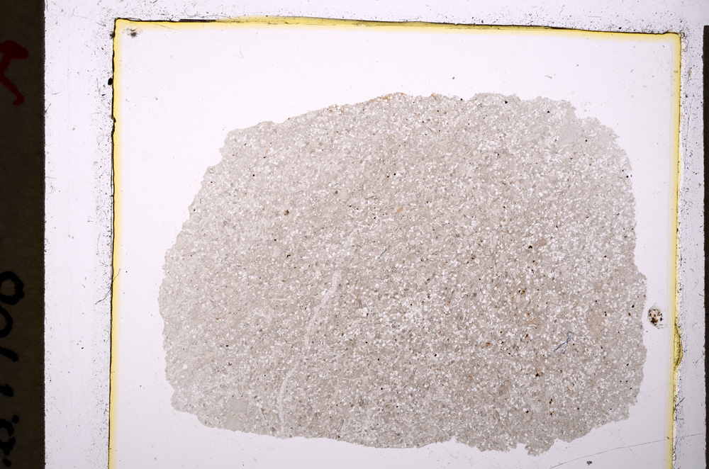 Plane Polarized, E19865