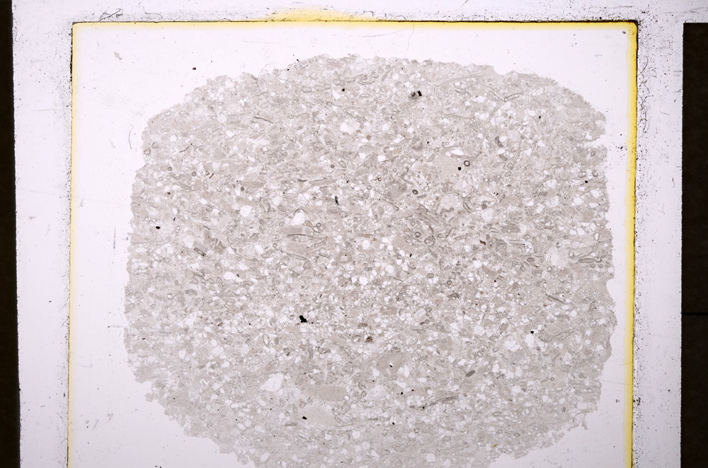 Plane Polarized, E19867