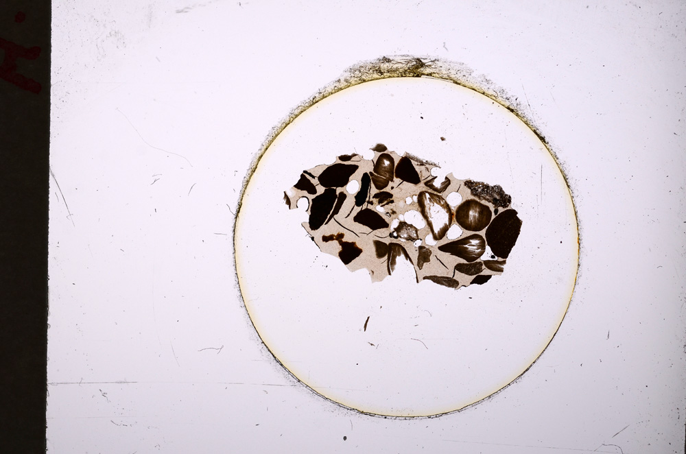 Plane Polarized, E19885