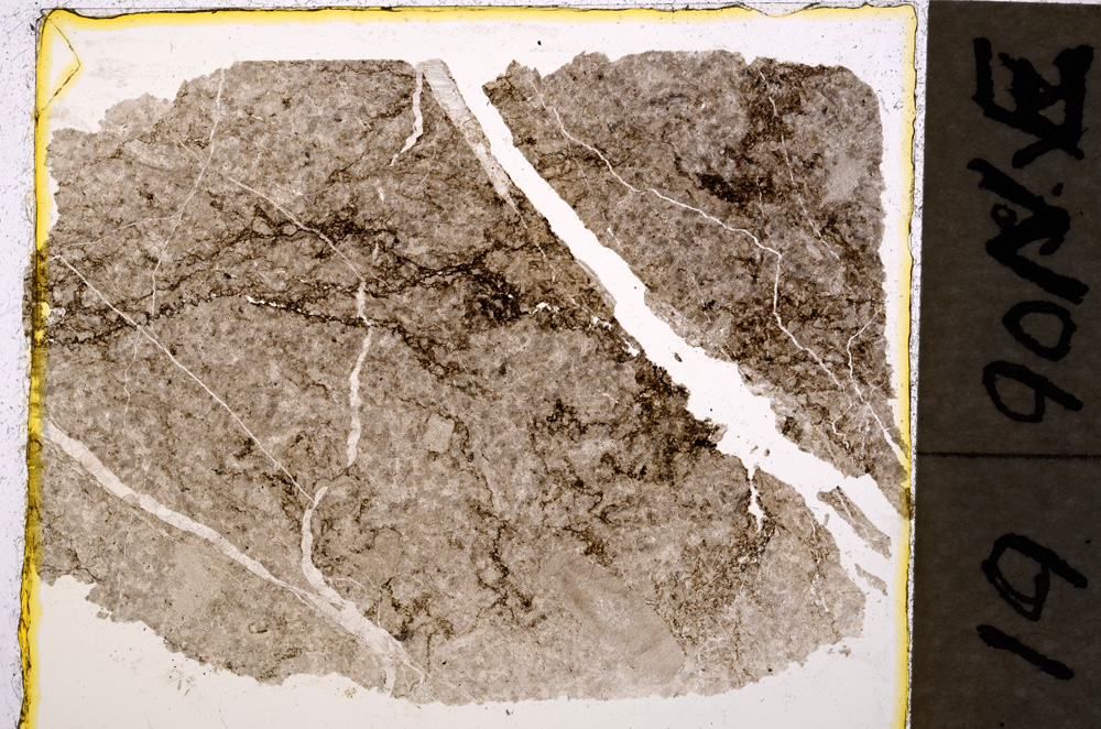 Plane Polarized, E19894