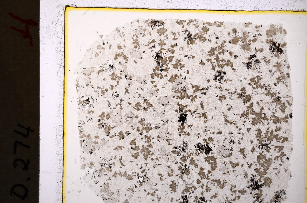 Plane Polarized, E19896