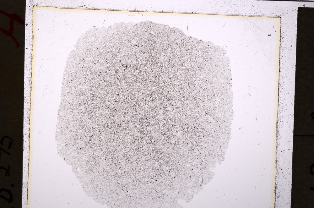 Plane Polarized, E19897