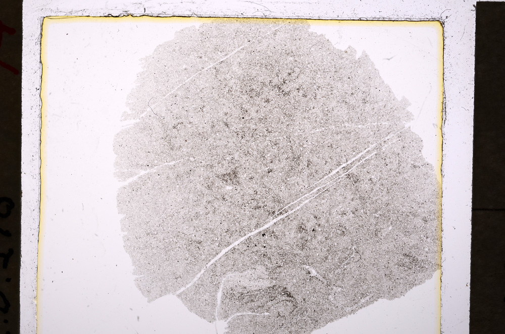 Plane Polarized, E19898