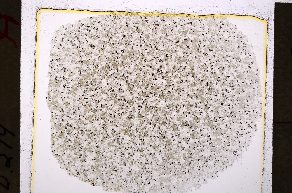 Plane Polarized, E19901