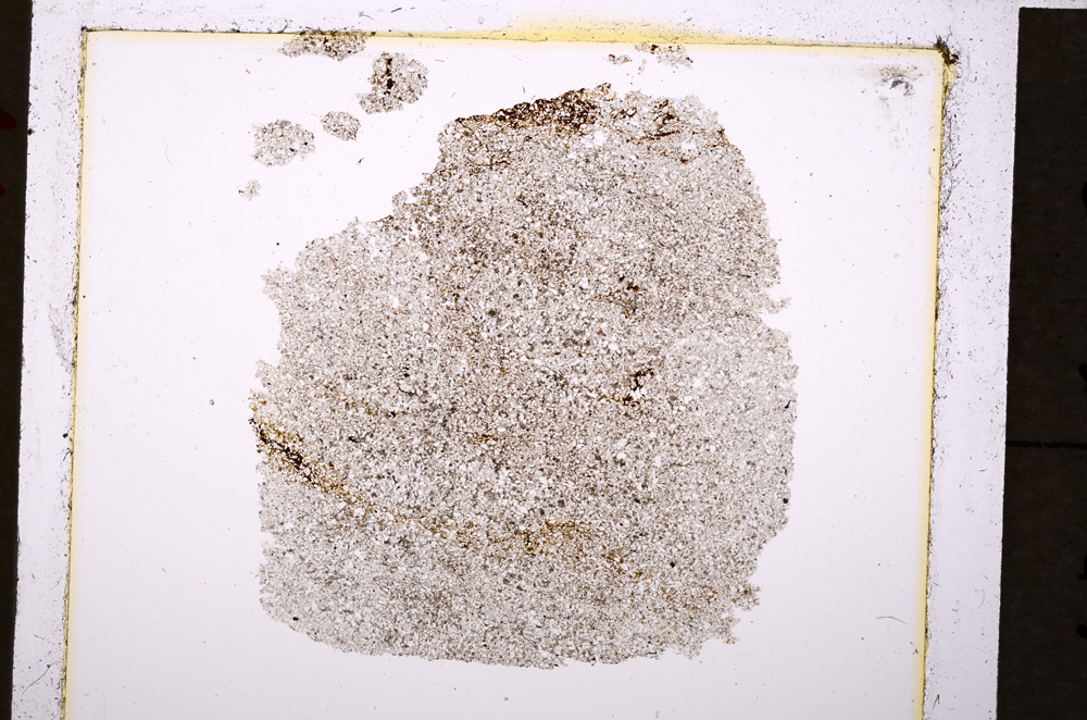 Plane Polarized, E19902