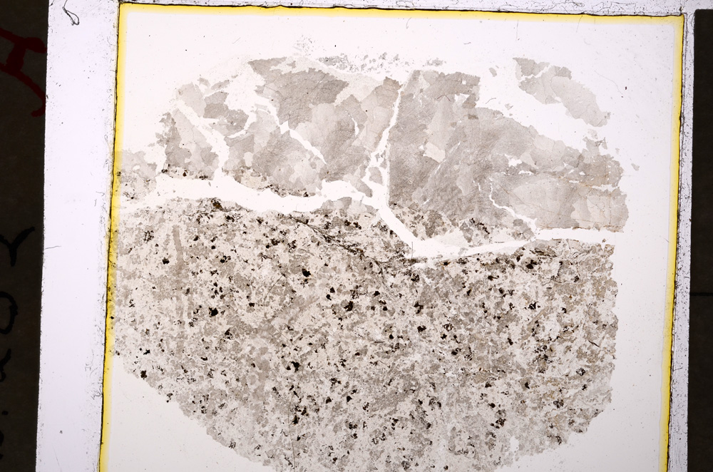 Plane Polarized, E19904