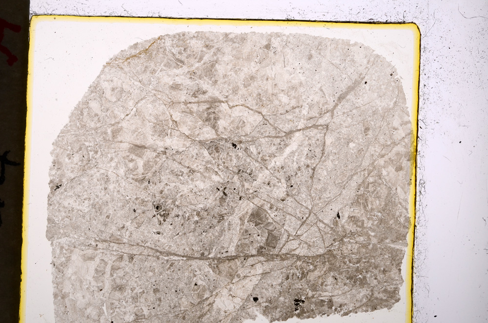 Plane Polarized, E19906