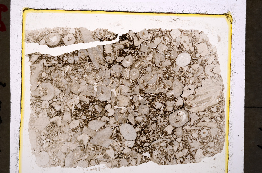 Plane Polarized, E19911