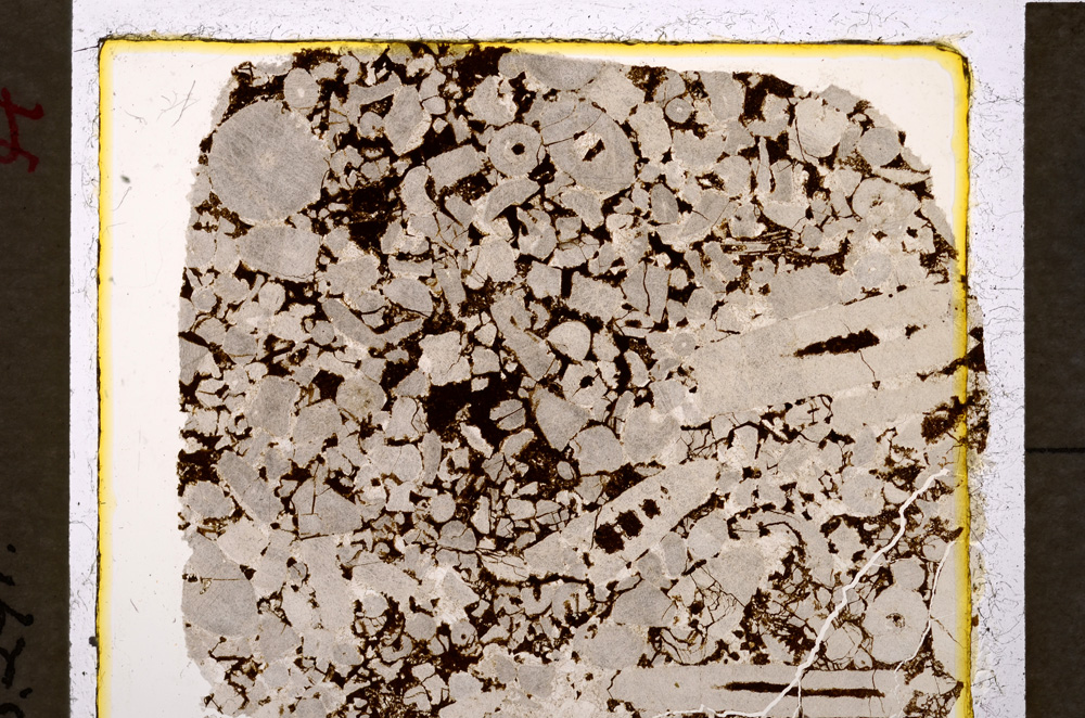 Plane Polarized, E19913