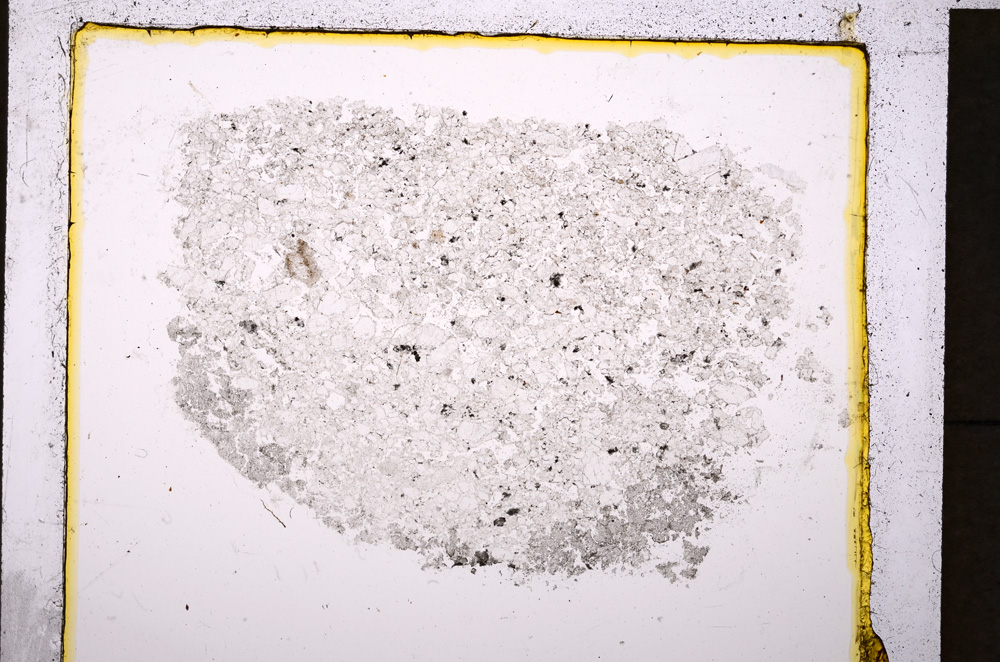 Plane Polarized, E19914