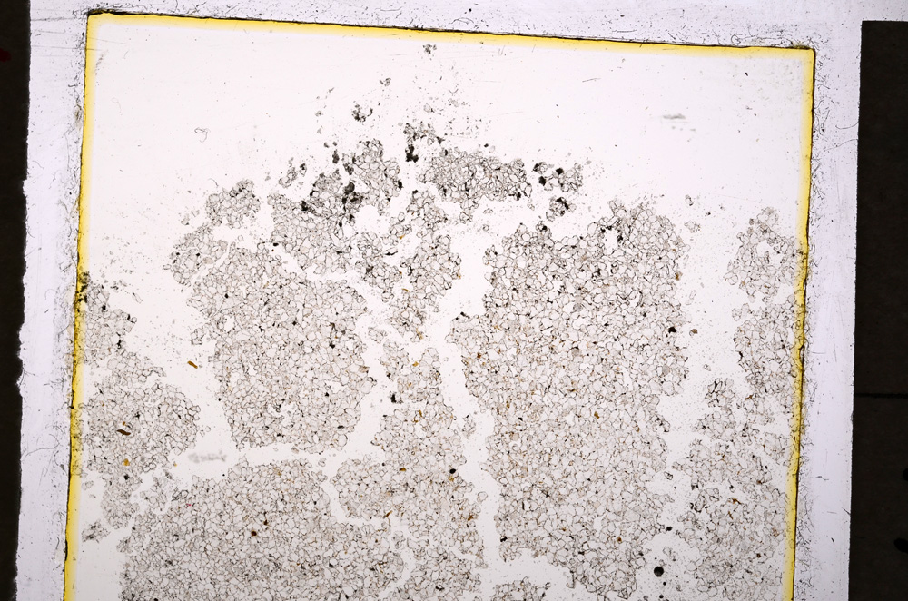 Plane Polarized, E19923