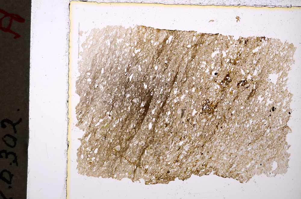 Plane Polarized, E19924