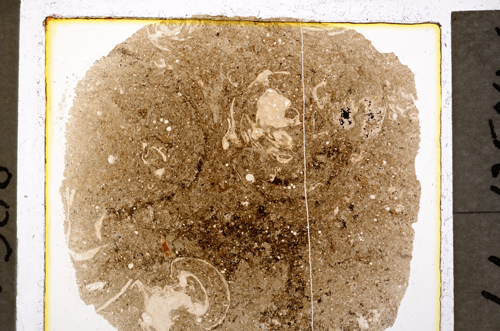 Plane Polarized, E19928