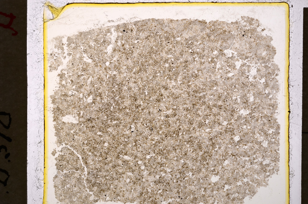 Plane Polarized, E19932