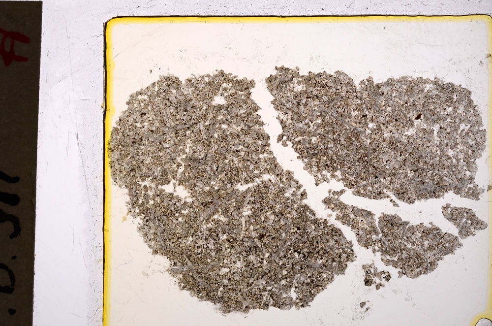 Plane Polarized, E19933