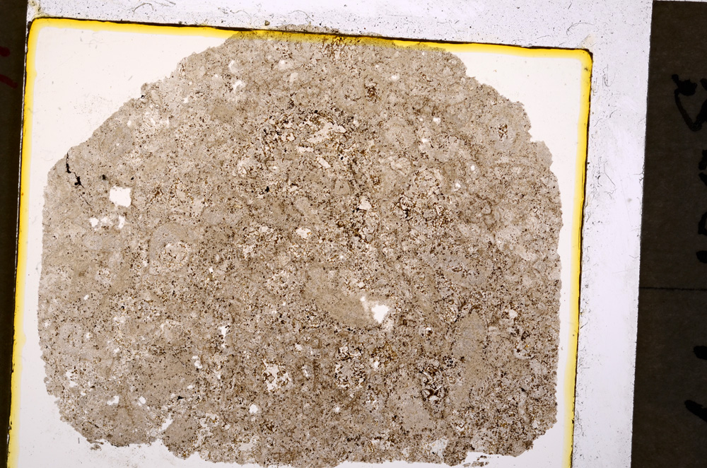 Plane Polarized, E19936