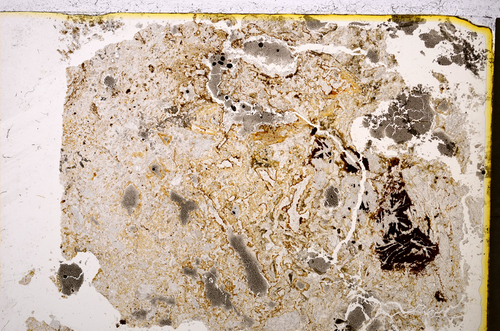 Plane Polarized, E19942