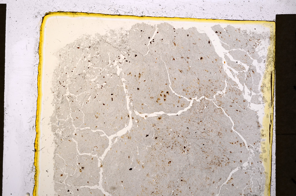 Plane Polarized, E19943