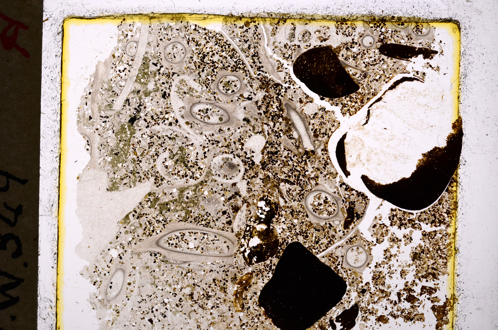Plane Polarized, E19961