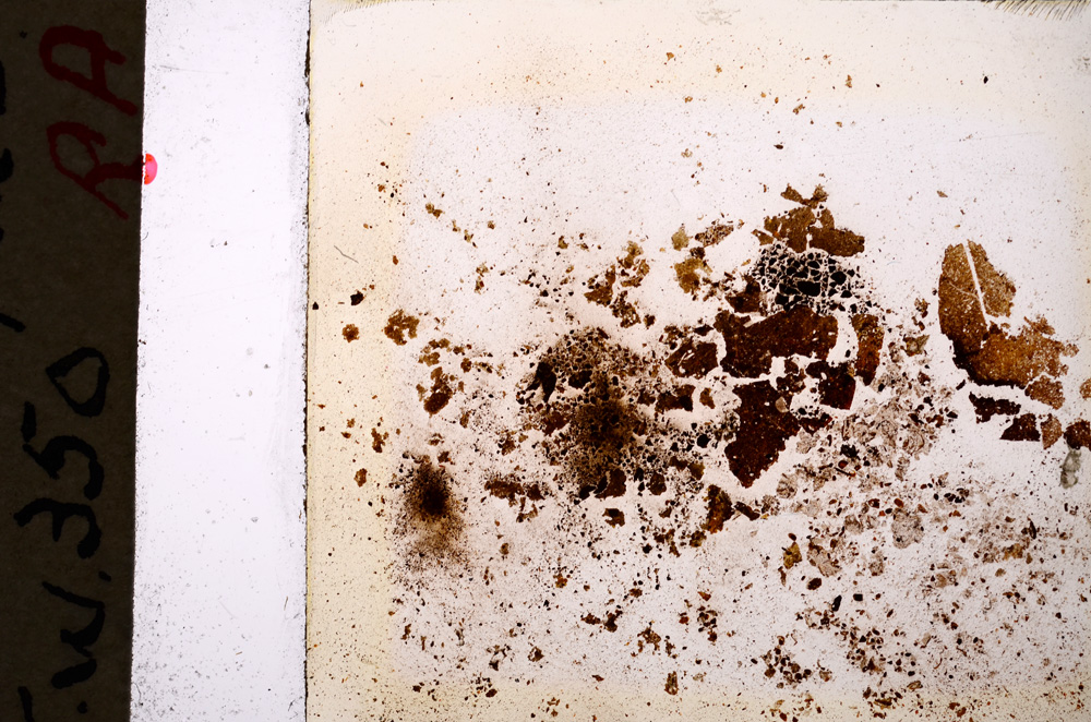 Plane Polarized, E19962/A