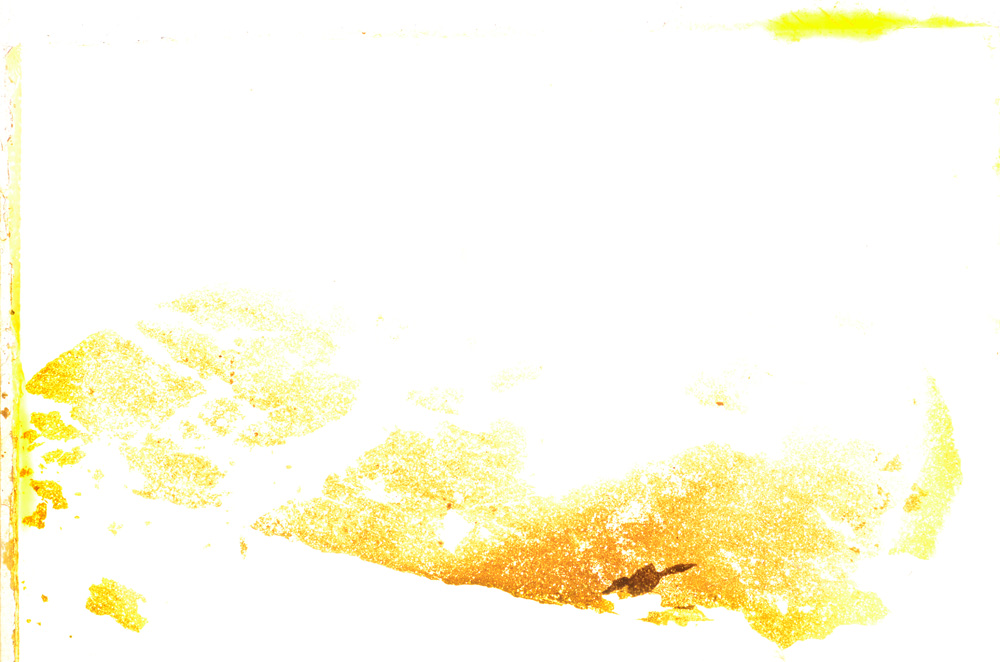 Plane Polarized, E19989/A