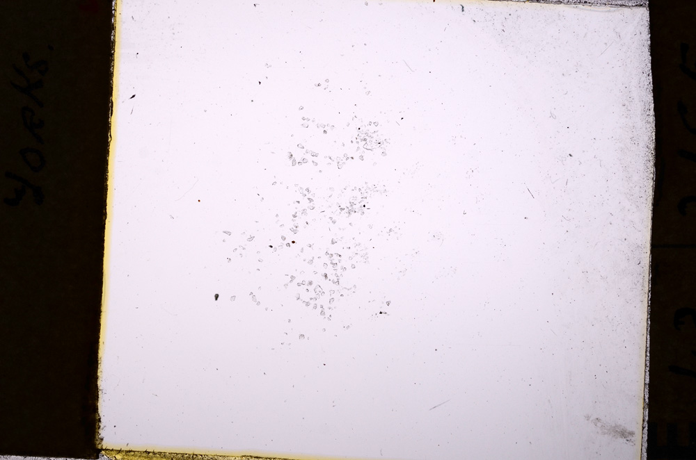 Plane Polarized, E19994/A