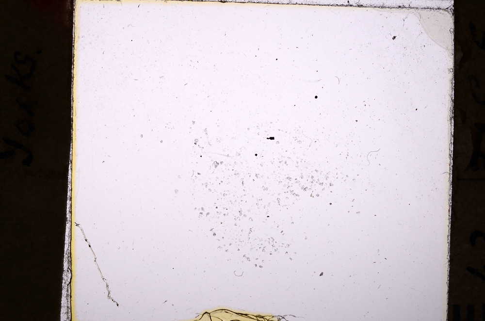 Plane Polarized, E19994/C