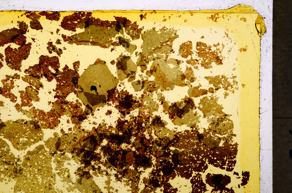 Plane Polarized, E20013