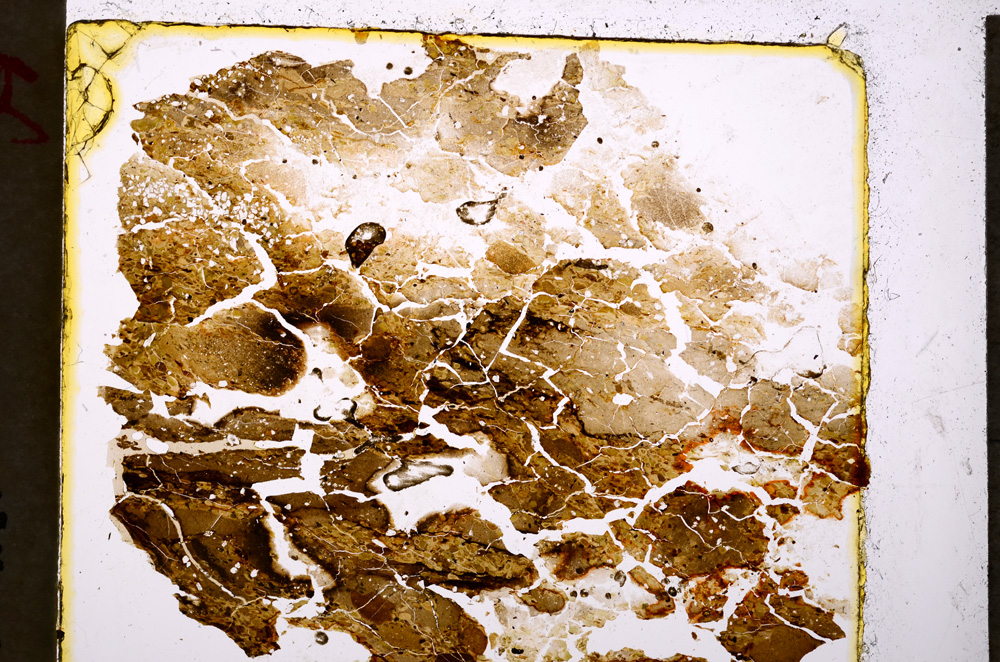 Plane Polarized, E20014