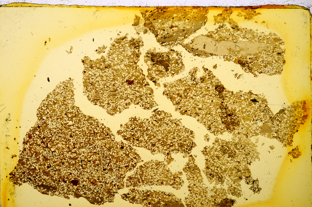 Plane Polarized, E20014/A