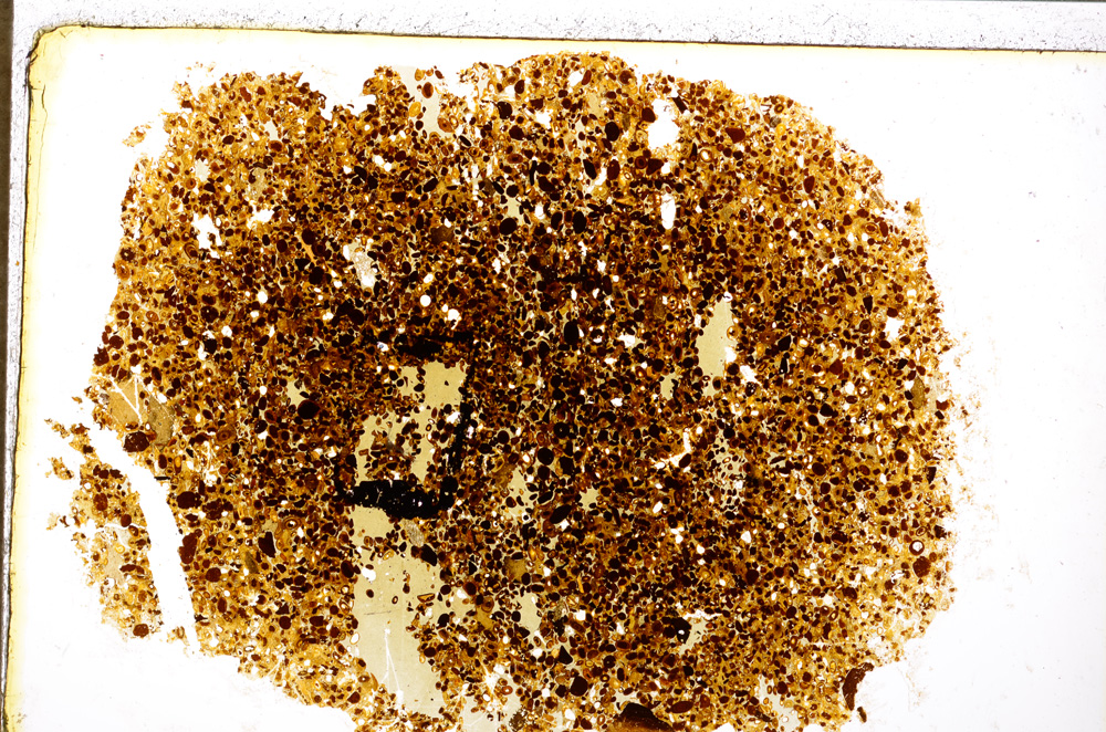 Plane Polarized, E20015/A