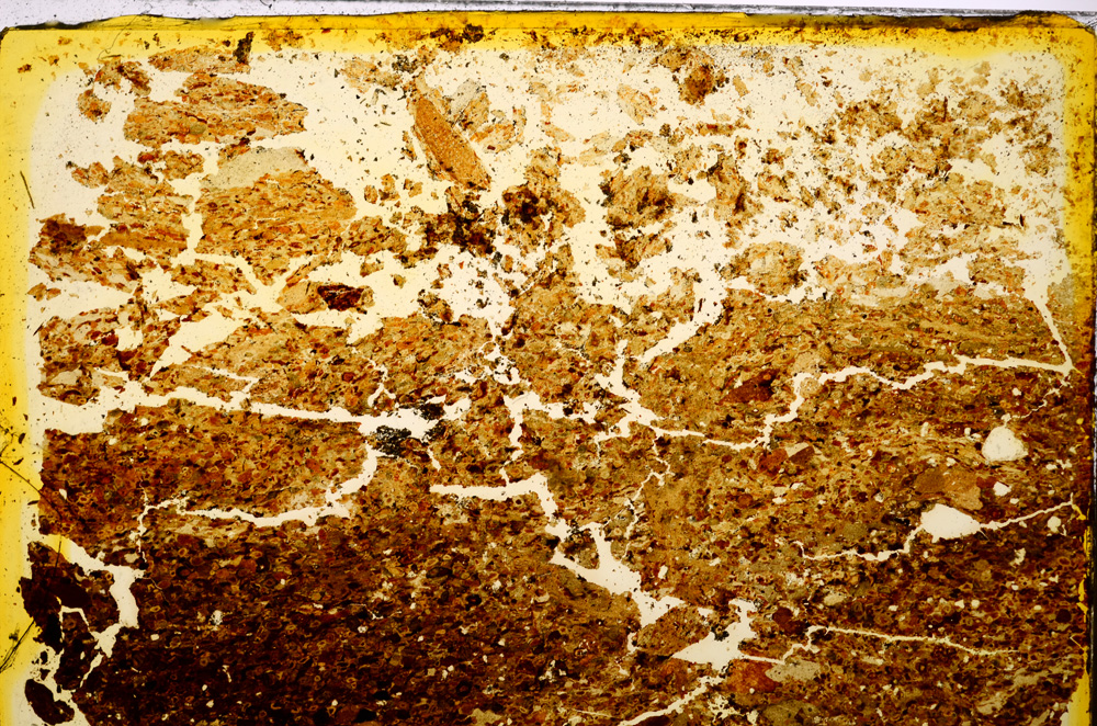 Plane Polarized, E20016