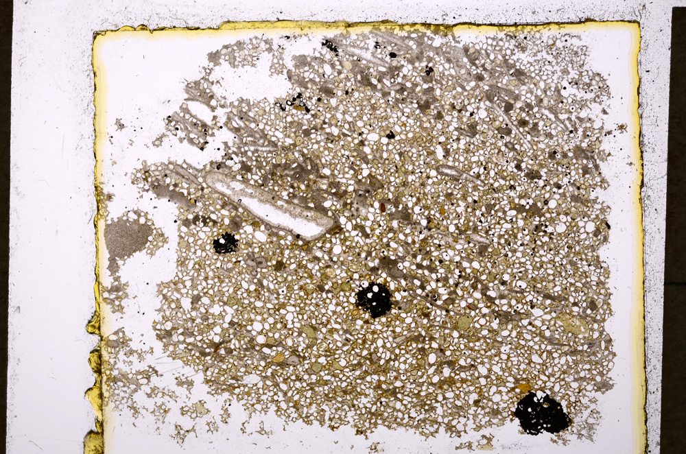 Plane Polarized, E20017