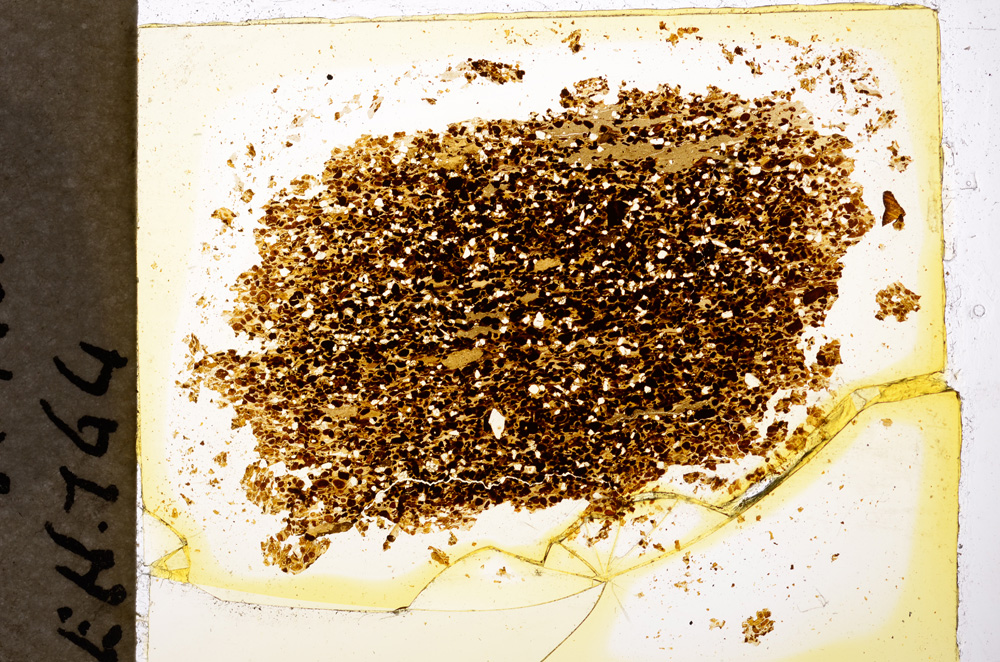 Plane Polarized, E20027