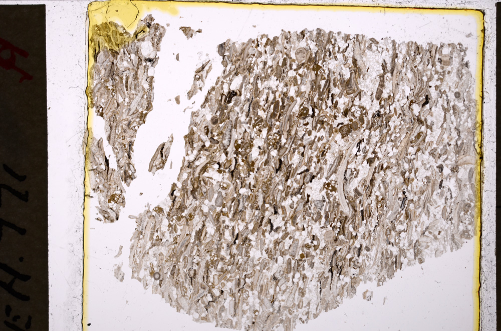 Plane Polarized, E20034