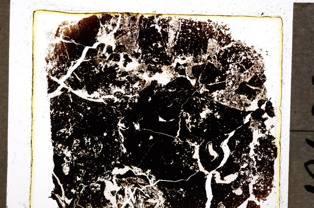 Plane Polarized, E20035