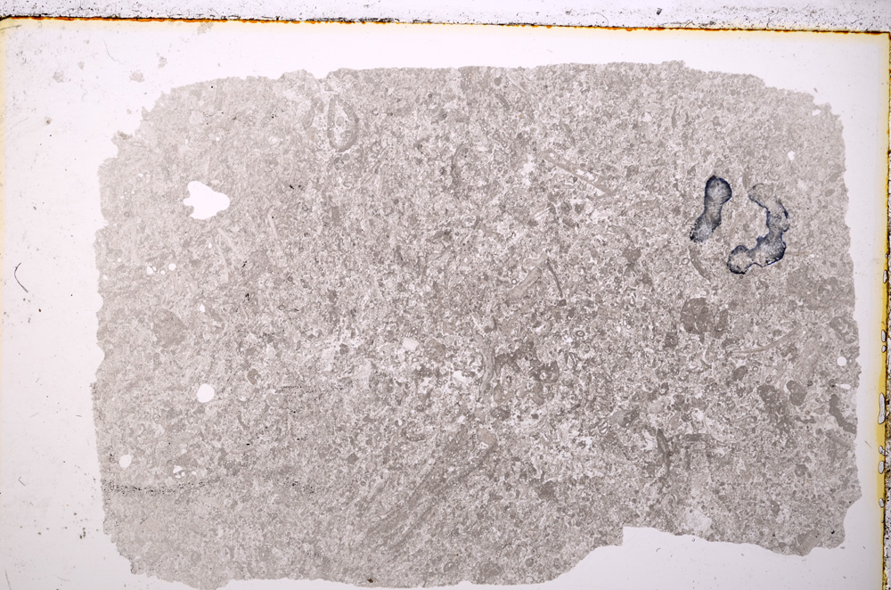 Plane Polarized, E20049