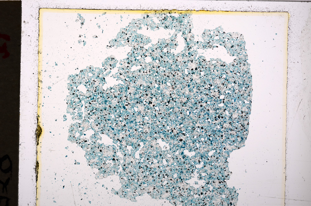 Plane Polarized, E20065/A