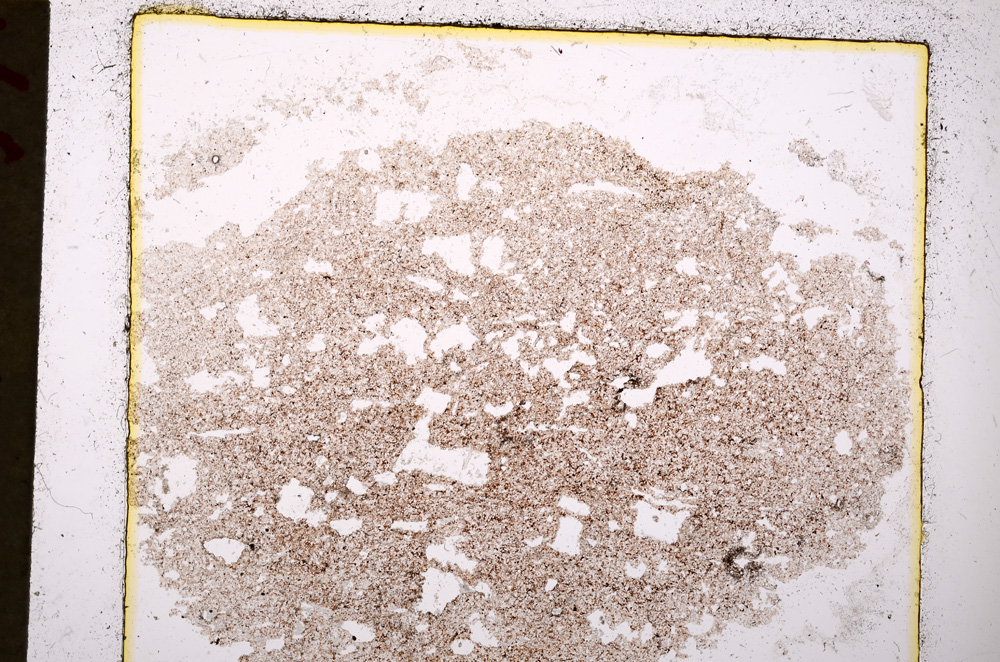 Plane Polarized, E20068