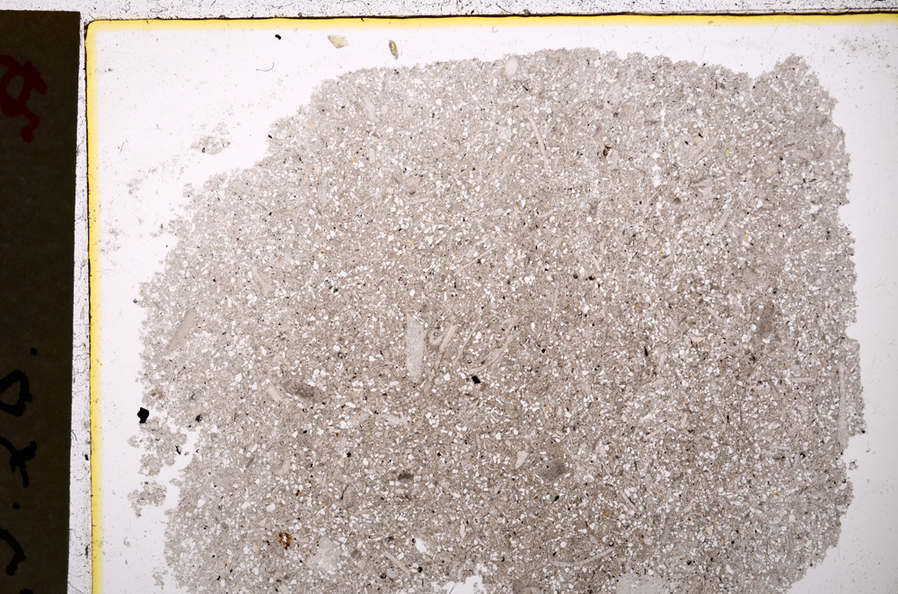 Plane Polarized, E20081