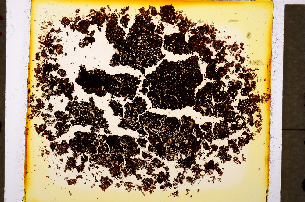 Plane Polarized, E20104