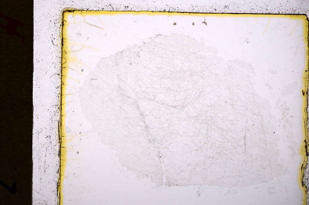 Plane Polarized, E20140