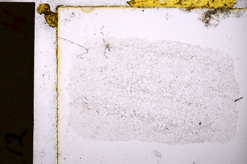 Plane Polarized, E20141