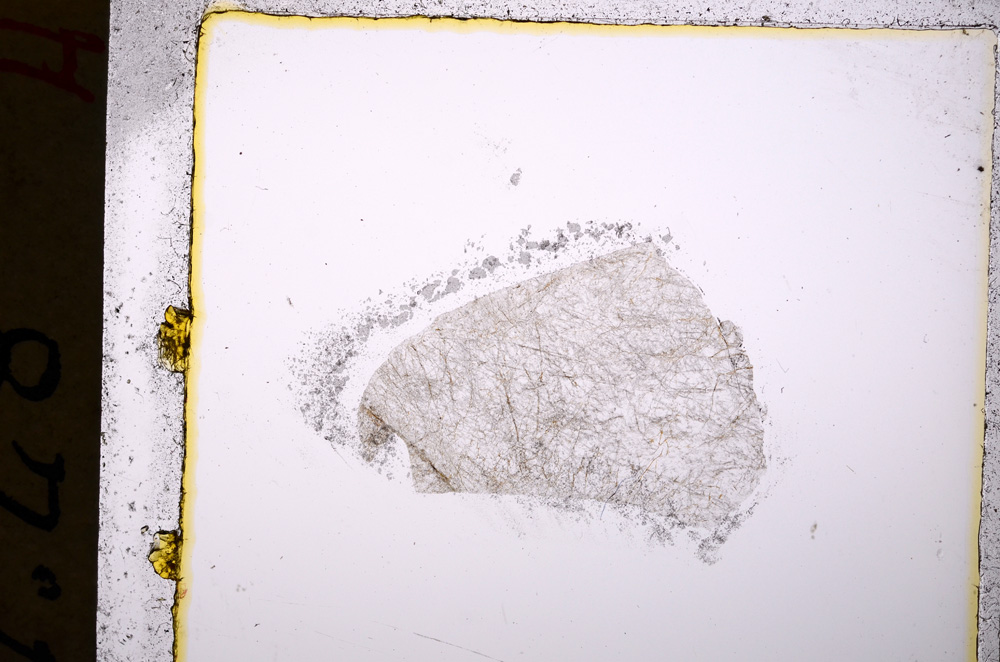 Plane Polarized, E20147