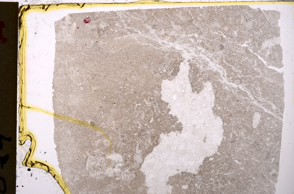 Plane Polarized, E20155