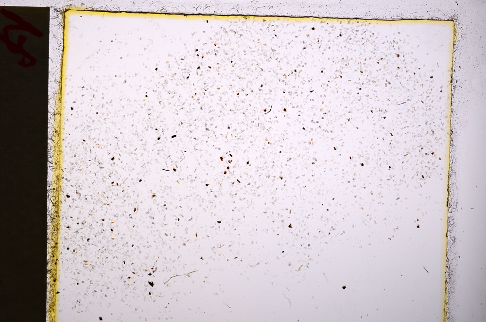Plane Polarized, E20197