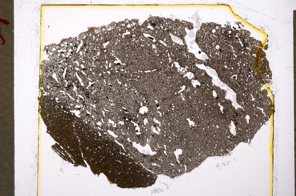 Plane Polarized, E20205