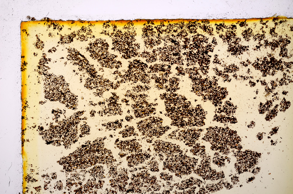 Plane Polarized, E20207